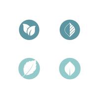 Mint leaf logo element template and symbol vector