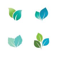 Mint leaf logo element template and symbol vector