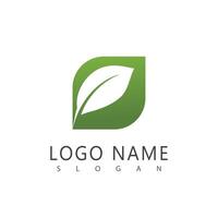 Mint leaf logo element template and symbol vector