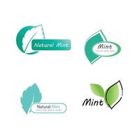 Mint leaf logo element template and symbol vector