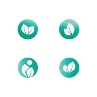 Mint leaf logo element template and symbol vector