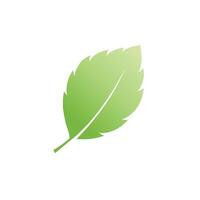 Mint leaf logo element template and symbol vector