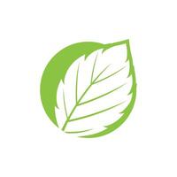 Mint leaf logo element template and symbol vector