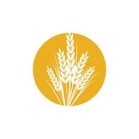 Agriculture wheat logo template and symbol vector