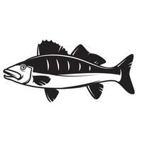 Illustration of pikeperch fish. Design elements vector