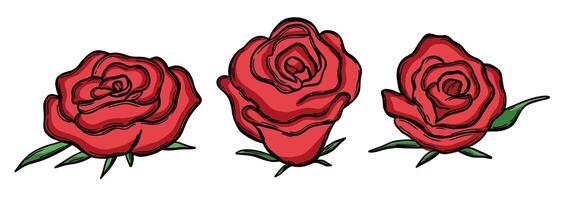 Set with rose flower vector