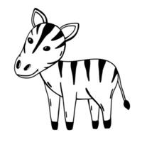 Cute zebra in doodle style vector