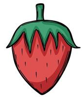 Strawberry in color doodle style vector