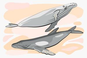 Illustration with two whales. Textures. Blue, gray, white background. vector
