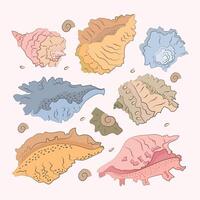 Hand drawn illustration under the water life. Set of sea shells. Mollusk different forms. Orange, Blue, Pink, Gray-green vector