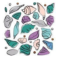 The sketch of shells with a line and a spot. Simple hand drown picture. Orange, pink, blue colours. vector