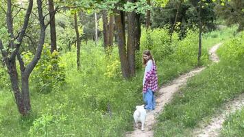 un niño con un perro en naturaleza video