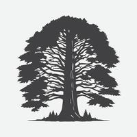 Print Majestic Redwood Tree Silhouette, Nature's Towering Masterpiece vector