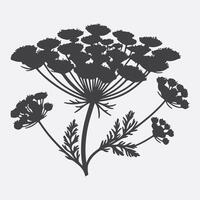 Print Captivating Silhouette of Yarrow Flower, A Study in Nature's Shadows vector