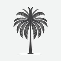 majestuoso palma árbol silueta, un eterno símbolo de tropical serenidad vector