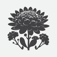 Print Captivating Silhouettes, The Elegance of Sedum Flowers vector