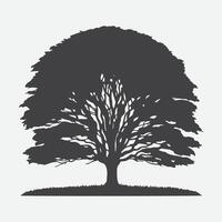 Print Majestic Beech Tree Silhouette, A Captivating Natural Masterpiece vector