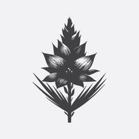 Print Majestic Yucca Flower Silhouette, Capturing Nature's Elegance vector