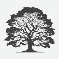 Print Majestic Maple Tree Silhouette, Capturing Nature's Elegance vector