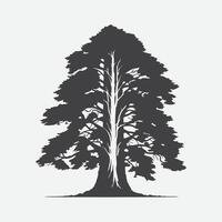 Print Majestic Redwood Tree Silhouette, Nature's Towering Masterpiece vector