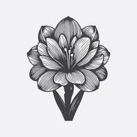 Print Enchanting Tuberose Flower Silhouette, A Delicate Dance of Shadows vector