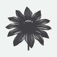 Captivating Silhouette of Rudbeckia Flower, Nature's Shadow Art vector