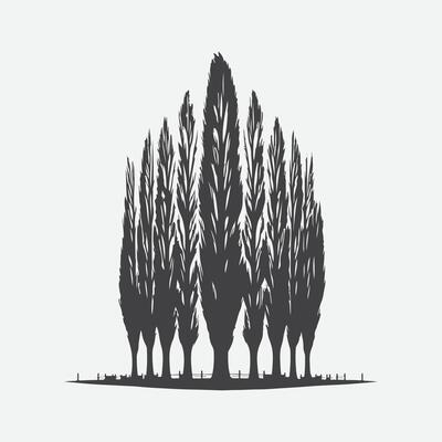 Print Majestic Poplar Tree Silhouette Against the Sky, A Timeless Natural Beauty