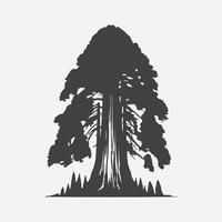 Print Majestic Redwood Tree Silhouette, Nature's Towering Masterpiece vector