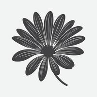 Print Captivating Silhouette of the Osteospermum Flower, Nature's Shadowed Elegance vector