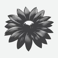 Captivating Silhouette of Rudbeckia Flower, Nature's Shadow Art vector