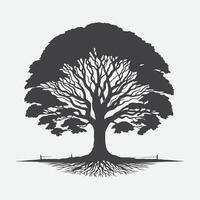 Print Majestic Elm Tree Silhouette, Capturing the Timeless Elegance of Nature vector