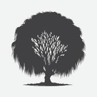 Print Mystical Willow Tree Silhouette, Nature's Elegant Shadow vector