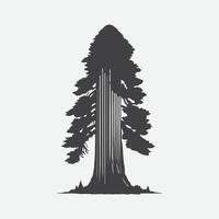 Print Majestic Redwood Tree Silhouette, Nature's Towering Masterpiece vector