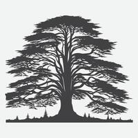 Print Majestic Cedar Tree Silhouette, Nature's Timeless Beauty in Silhouette Art vector