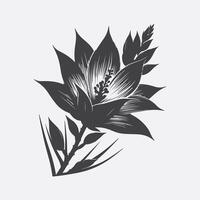 Print Majestic Yucca Flower Silhouette, Capturing Nature's Elegance vector