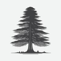 Print Majestic Cedar Tree Silhouette, Nature's Timeless Beauty in Silhouette Art vector