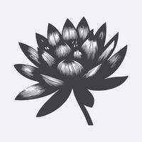 Print Mesmerizing Water Lily Flower Silhouette, A Symphony of Elegance and Tranquility vector