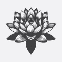 Print Mesmerizing Water Lily Flower Silhouette, A Symphony of Elegance and Tranquility vector