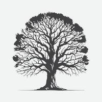 Print Majestic Elm Tree Silhouette, Capturing the Timeless Elegance of Nature vector