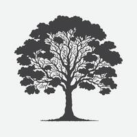 Print Majestic Maple Tree Silhouette, Capturing Nature's Elegance vector