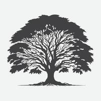 Print Majestic Elm Tree Silhouette, Capturing the Timeless Elegance of Nature vector