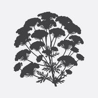 Print Captivating Silhouette of Yarrow Flower, A Study in Nature's Shadows vector