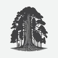 Print Majestic Redwood Tree Silhouette, Nature's Towering Masterpiece vector