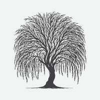 Print Mystical Willow Tree Silhouette, Nature's Elegant Shadow vector