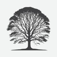 Print Majestic Beech Tree Silhouette, A Captivating Natural Masterpiece vector