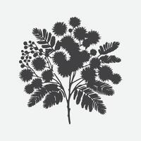 Print Enchanting Mimosa Flower Silhouette, Nature's Grace in Shadows vector