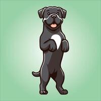 Cane Corso dog stands on hind legs illustration vector
