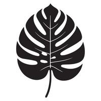 An elegant Monstera leaf illustration in black and white vector