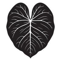 A Alocasia leaf illustration in black and white vector
