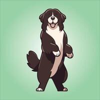 Newfoundland dog stands on hind legs illustration vector